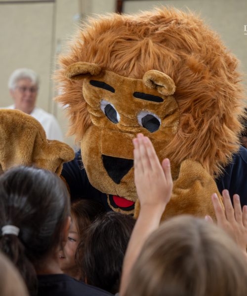 _MG_1724-Verbessert-RR