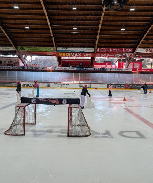 PXL_20260303_083302439.MP