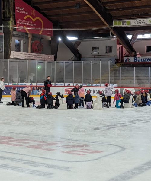 PXL_20260303_084135888.MP