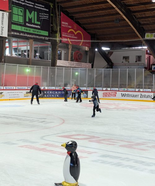 PXL_20260303_084451668.MP