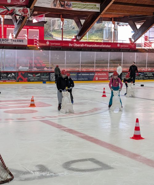 PXL_20260303_084501040