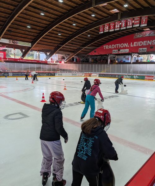 PXL_20260303_084656466.MP