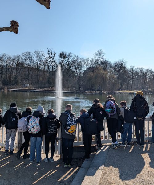 PXL_20260303_112021442.MP