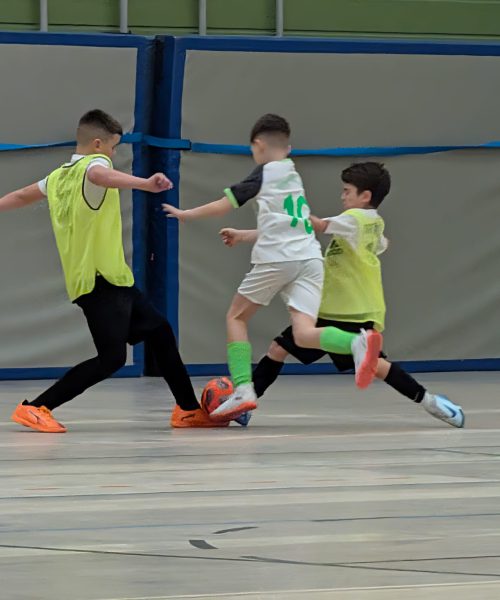 WhatsApp Image 2026-03-02 at 08.07.19 (6)