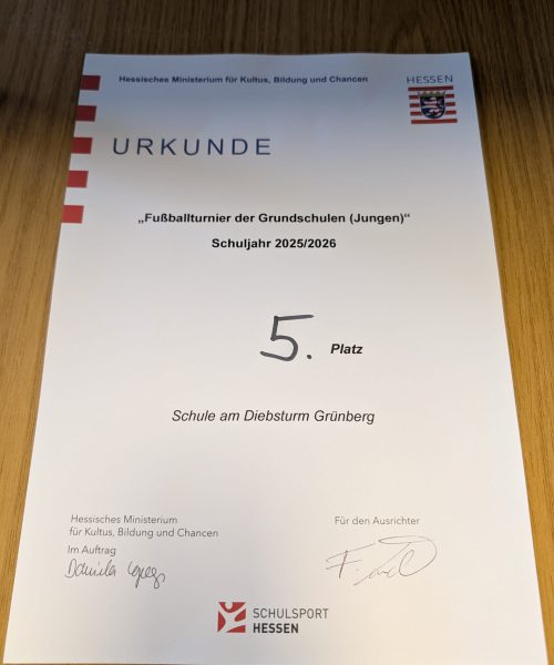 WhatsApp Image 2026-03-02 at 08.24.52