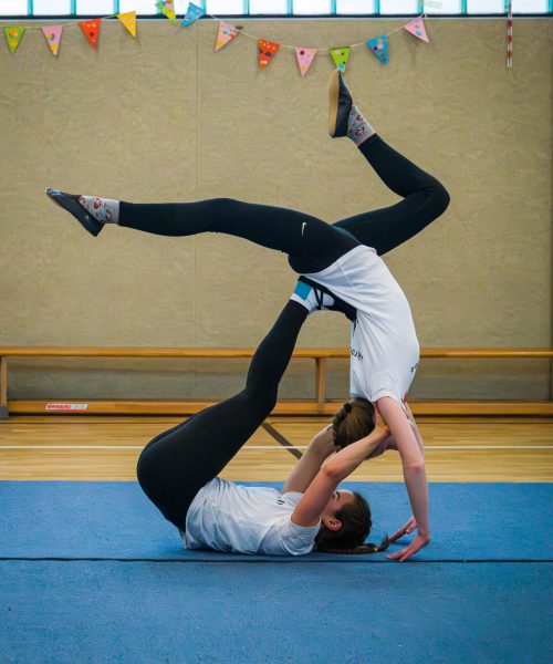 .trashed-1774557182-L1152362 (1)